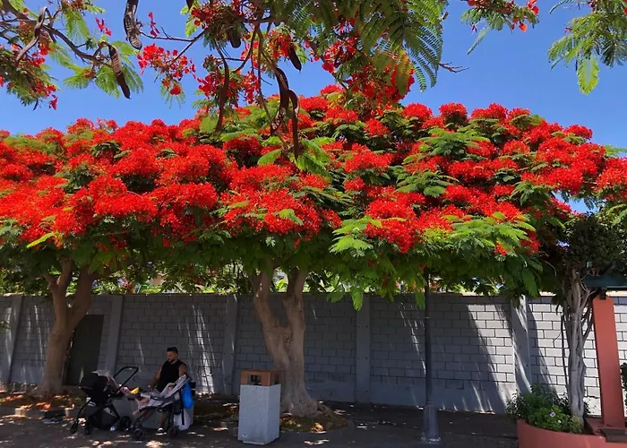 Rocas Del Mar With Heated Pool And Double Terrace Appartement *