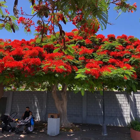 Rocas Del Mar With Heated Pool And Double Terrace דירה *